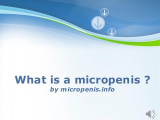 Powerpoint Templates
Page 1
Powerpoint Templates
What is a micropenis ?
by micropenis.info
 