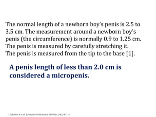 Maxman Male Enhancement Gummies Scam Or Legit? Read This Before Buying It