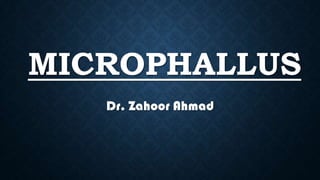 MICROPHALLUS
Dr. Zahoor Ahmad

 