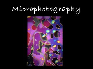 Microphotography 