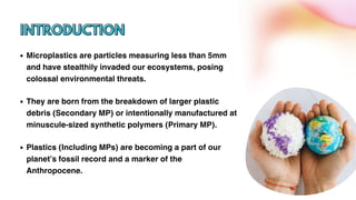 Microplastics | PDF