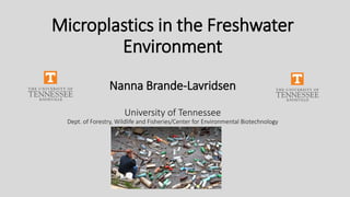 Microplastics in the Freshwater
Environment
Nanna Brande-Lavridsen
University of Tennessee
Dept. of Forestry, Wildlife and Fisheries/Center for Environmental Biotechnology
 