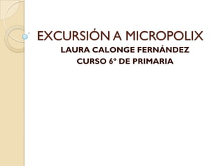 EXCURSIÓN A MICROPOLIX
   LAURA CALONGE FERNÁNDEZ
      CURSO 6º DE PRIMARIA
 