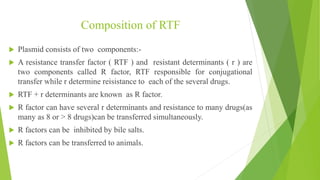 bacterial genetics | PPTX