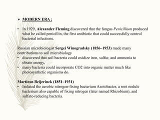  MODERN ERA :
• In 1929, Alexander Fleming discovered that the fungus Penicillium produced
what he called penicillin, the first antibiotic that could successfully control
bacterial infections.
Russian microbiologist Sergei Winogradsky (1856–1953) made many
contributions to soil microbiology
• discovered that soil bacteria could oxidize iron, sulfur, and ammonia to
obtain energy,
• many bacteria could incorporate CO2 into organic matter much like
photosynthetic organisms do.
Martinus Beijerinck (1851–1931)
• Isolated the aerobic nitrogen-fixing bacterium Azotobacter, a root nodule
bacterium also capable of fixing nitrogen (later named Rhizobium), and
sulfate-reducing bacteria.
 