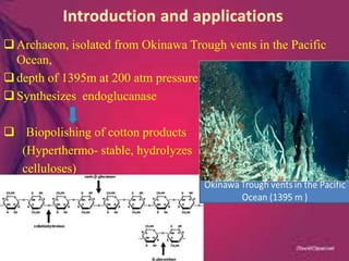 Archaeon, isolated from Okinawa Trough vents in the Pacific
Ocean,
depth of 1395m at 200 atm pressure
Synthesizes endoglucanase
Biopolishing of cotton products
(Hyperthermo- stable, hydrolyzes
celluloses)