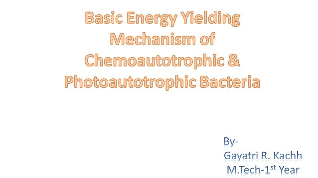 Basic Energy Yielding Mechanism Of Chemoautotrophic Photoautotrophi