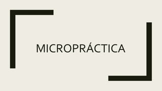 MICROPRÁCTICA
 