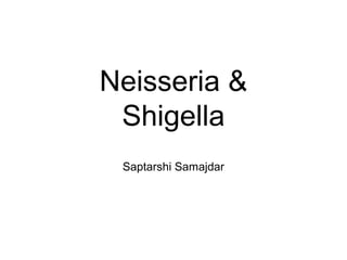 Neisseria &
Shigella
Saptarshi Samajdar
 