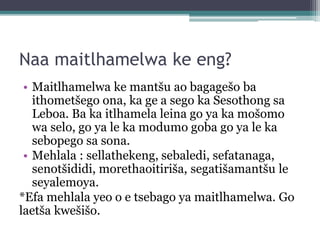 Naa maitlhamelwa ke eng?
• Maitlhamelwa ke mantšu ao bagagešo ba
ithometšego ona, ka ge a sego ka Sesothong sa
Leboa. Ba ka itlhamela leina go ya ka mošomo
wa selo, go ya le ka modumo goba go ya le ka
sebopego sa sona.
• Mehlala : sellathekeng, sebaledi, sefatanaga,
senotšididi, morethaoitiriša, segatišamantšu le
seyalemoya.
*Efa mehlala yeo o e tsebago ya maitlhamelwa. Go
laetša kwešišo.
 