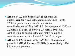 Athlon 64 X2 con Socket AM2: Tenemos un núcleo, Windsor, con velocidades desde 3600+ hasta 5200+, Ojo que tienen cachés de distintas velocidades, entre 256 y 1025 kB. Por ejemplo, el 4200+ a 2,2 GHz y 512 kB,  el 4400+ a 2,4 GHz y 1024 kB. Ambos van a la misma velocidad real y, sólo por el aumento de caché, la velocidad "teórica" es mayor. Athlon 64 FX-62 con Socket AM2: Es el más alto de gama de AMD, doble core, 2'8 GHz de velocidad y 1024 kB de caché por core. 