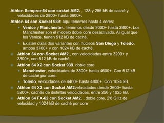 Athlon Sempron64 con socket AM2. , 128 y 256 kB de caché y velocidades de 2800+ hasta 3600+. Athlon 64 con Socket 939: aquí tenemos hasta 4 cores:Venice y Manchester.. tenemos desde 3000+ hasta 3800+. Los Manchester son el modelo doble core desactivado. Al igual que los Venice, tienen 512 kB de caché.Existen otras dos variantes con núcleos San Diego y Toledo, ambos 3700+ y con 1024 kB de caché. Athlon 64 con Socket AM2., con velocidades entre 3200+ y 3800+, con 512 kB de caché. Athlon 64 X2 con Socket 939. doble coreManchester, velocidades de 3800+ hasta 4600+. Con 512 kB de caché por core.Toledo, velocidades de 4400+ hasta 4800+. Con 1024 kB.Athlon 64 X2 con Socket AM2velocidades desde 3600+ hasta 5200+, cachés de distintas velocidades, entre 256 y 1025 kB. Athlon 64 FX-62 con Socket AM2. , doble core, 2'8 GHz de velocidad y 1024 kB de caché por core