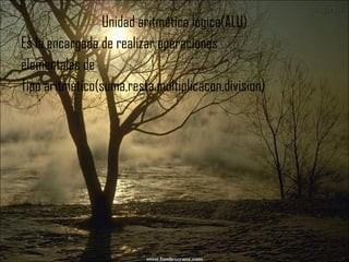 Unidad aritmética lógica(ALU) Es la encargada de realizar operaciones elementales de Tipo aritmético(suma,resta,multiplicacon,division)