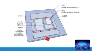 Unidad aritmética lógica.
Unidad de punto flotante.
 