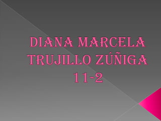 diana Marcela Trujillo Zúñiga11-2 