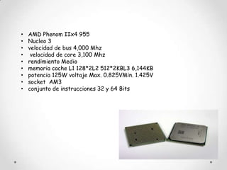 •   AMD Phenom IIx4 955
•   Nucleo 3
•   velocidad de bus 4,000 Mhz
•    velocidad de core 3,100 Mhz
•   rendimiento Medio
•   memoria cache L1 128*2L2 512*2KBL3 6,144KB
•   potencia 125W voltaje Max. 0.825VMin. 1.425V
•   socket AM3
•   conjunto de instrucciones 32 y 64 Bits
 