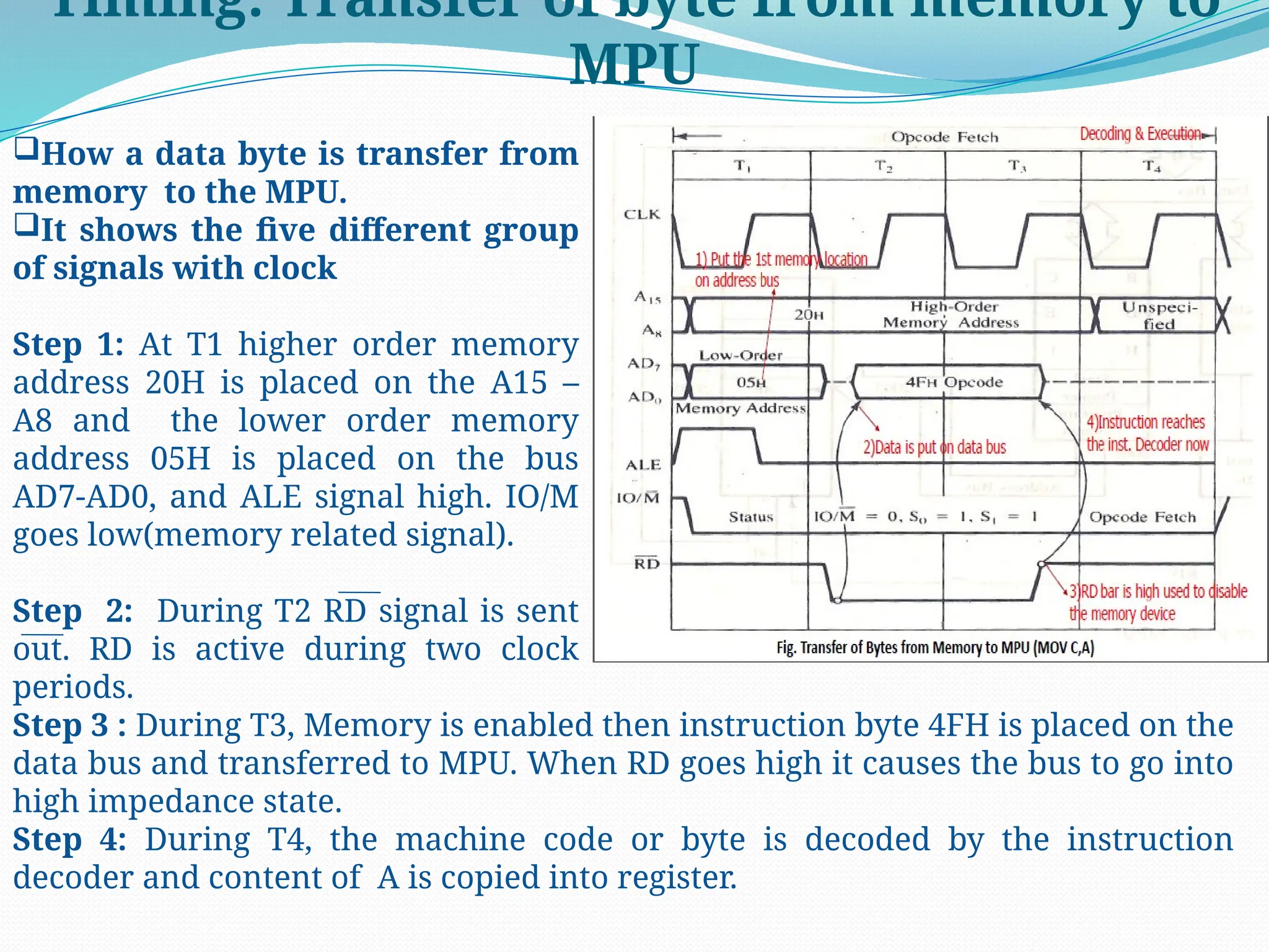 Timing: Transfer of byte from memory to
MPU
How a data byte is transfer from
memory to the MPU.
It shows the five different group
of signals with clock
Step 1: At T1 higher order memory
address 20H is placed on the A15 –
A8 and the lower order memory
address 05H is placed on the bus
AD7-AD0, and ALE signal high. IO/M
goes low(memory related signal).
Step 2: During T2 RD signal is sent
out. RD is active during two clock
periods.
Step 3 : During T3, Memory is enabled then instruction byte 4FH is placed on the
data bus and transferred to MPU. When RD goes high it causes the bus to go into
high impedance state.
Step 4: During T4, the machine code or byte is decoded by the instruction
decoder and content of A is copied into register.
 