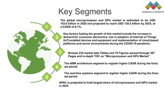 Microprocessor and gpu market