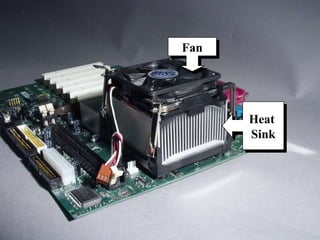 Heat  Sink Fan 