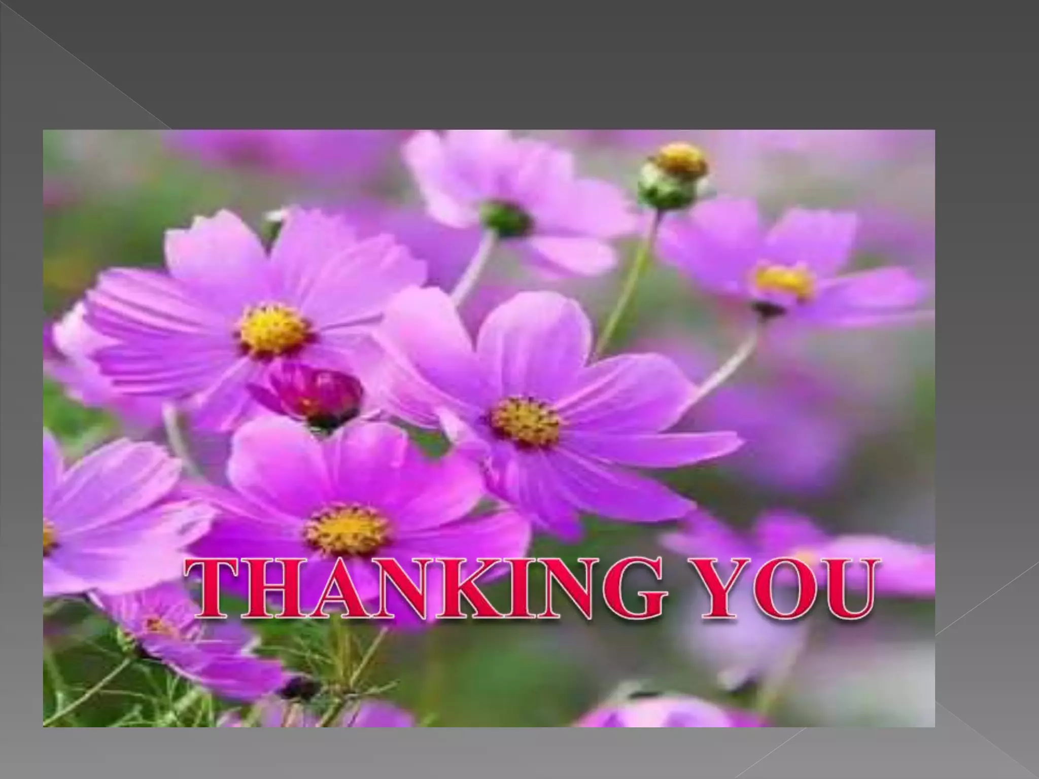 Micro program example | PPTX