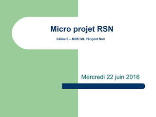 Micro projet RSN
Céline E – MDE/ ML Périgord Noir
Mercredi 22 juin 2016
 