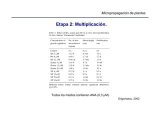Micropropagación de plantas


   Etapa 2: Multiplicación.




Todos los medios contienen ANA (0,3 µM).
                                            Grigoriadou, 2002.
 