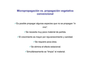 Micropropagación vs. propagación vegetativa
              convencional


Es posible propagar algunas especies que no se propagan “in
                          vivo”.

         Se necesita muy poco material de partida.

  El crecimiento es mayor por rejuvenecimiento y sanidad.

                  Se requiere poca área.

              Se elimina el efecto estacional.

          Simultáneamente se “limpia” el material.
 
