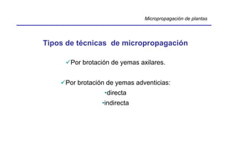 Micropropagación de plantas




Tipos de técnicas de micropropagación

       Por brotación de yemas axilares.


     Por brotación de yemas adventicias:
                  •directa
                 •indirecta
 