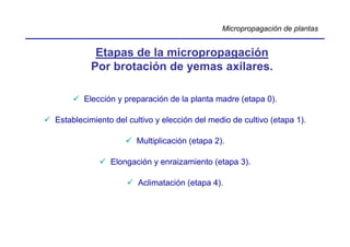 Micropropagación de plantas


           Etapas de la micropropagación
          Por brotación de yemas axilares.

        Elección y preparación de la planta madre (etapa 0).

Establecimiento del cultivo y elección del medio de cultivo (etapa 1).

                      Multiplicación (etapa 2).

               Elongación y enraizamiento (etapa 3).

                       Aclimatación (etapa 4).
 
