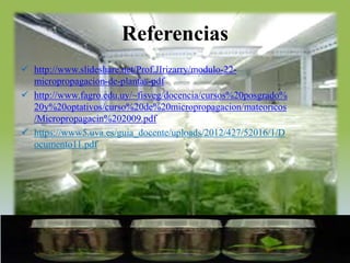 Referencias
 http://www.slideshare.net/Prof.JIrizarry/modulo-22-
  micropropagacion-de-plantas-pdf
 http://www.fagro.edu.uy/~fisveg/docencia/cursos%20posgrado%
  20y%20optativos/curso%20de%20micropropagacion/mateoricos
  /Micropropagacin%202009.pdf
 https://www5.uva.es/guia_docente/uploads/2012/427/52016/1/D
  ocumento11.pdf
 