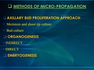  METHODS OF MICRO-PROPAGATION
 AXILLARY BUD PROLIFERATION APPROACH

• Meristem and shoot tip culture
• Bud culture
 ORGANOGENESIS

• INDIRECT
• DIRECT
 EMBRYOGENESIS

 