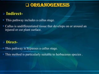  ORGANOGENESIS
 Indirect This pathway includes a callus stage.

 Callus is undifferentiated tissue that develops on or around an
injured or cut plant surface.

 Direct This pathway is bypasses a callus stage.
 This method is particularly suitable to herbaceous species .

 