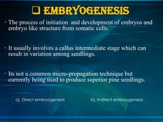  EMBRYOGENESIS
• The process of initiation and development of embryos and
embryo like structure from somatic cells.
• It usually involves a callus intermediate stage which can
result in variation among seedlings.

• Its not a common micro-propagation technique but
currently being used to produce superior pine seedlings.
a). Direct embryogenesis

b). Indirect embryogenesis

 