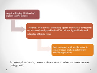 A quick dipping (5-30 sec) of
explant in 70% ethanol
Treatment with several sterilizing agents or surface disinfectants
such as:- sodium hypochlorite (2%), calcium hypochlorite and
saturated chlorine water
final treatment with sterile water to
remove traces of chemicals before
inoculating explant.
In tissue culture media, presence of sucrose as a carbon source encourages
their growth.
 