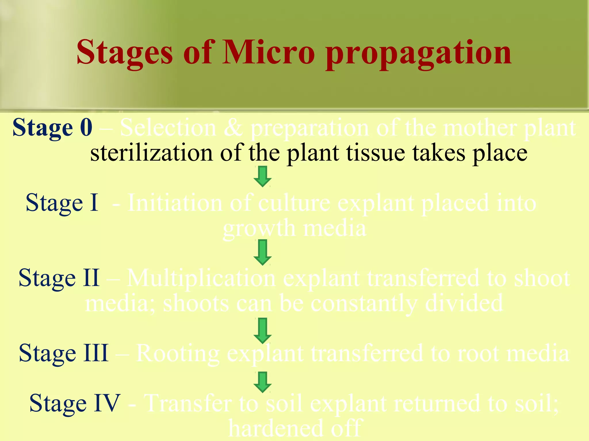 Stages of Micro propagation
Stage 0 – Selection & preparation of the mother plant
sterilization of the plant tissue takes place
Stage I - Initiation of culture explant placed into
growth media
Stage II – Multiplication explant transferred to shoot
media; shoots can be constantly divided
Stage III – Rooting explant transferred to root media
Stage IV - Transfer to soil explant returned to soil;
hardened off
 