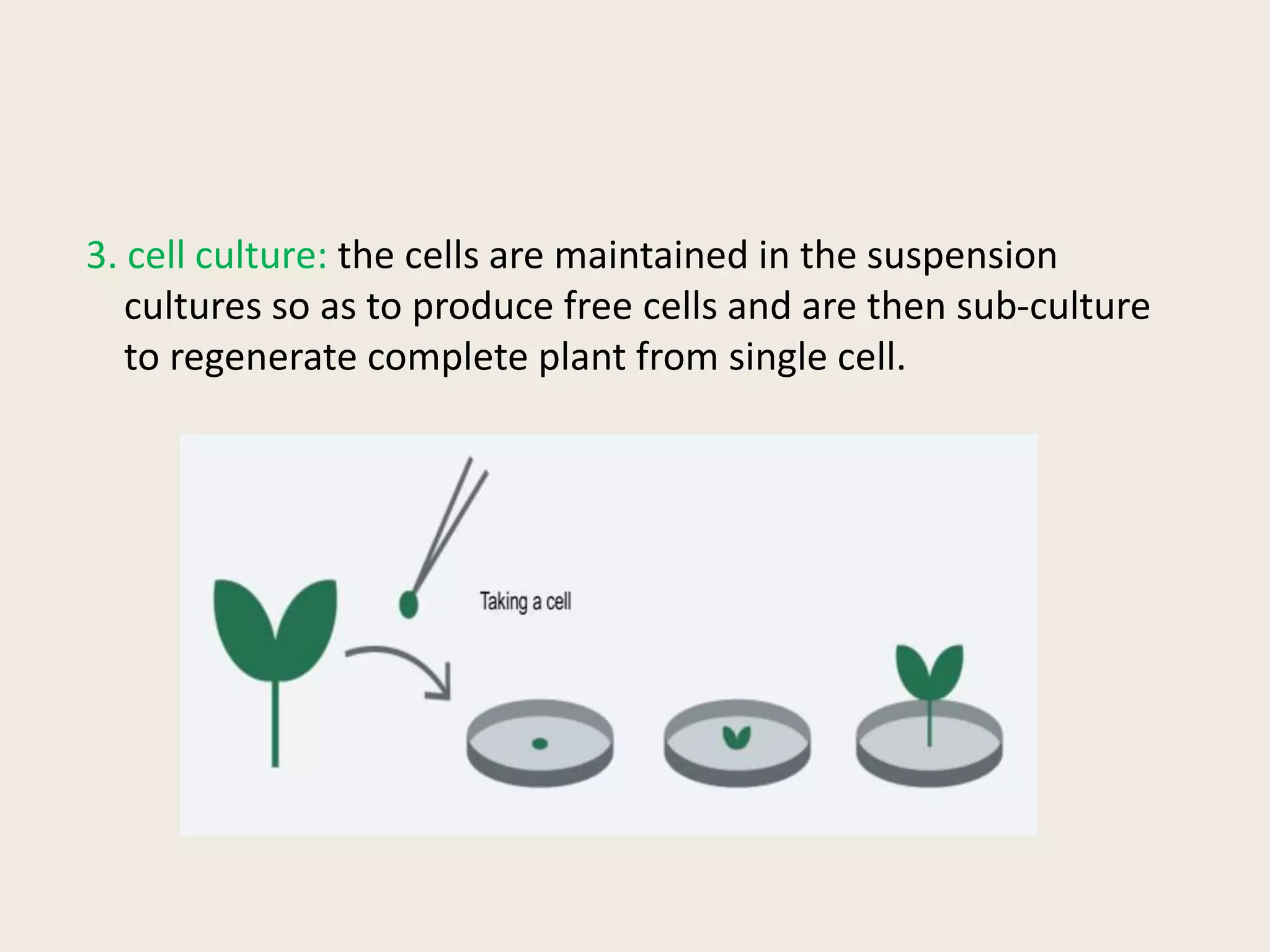 3. cell culture: the cells are maintained in the suspension
cultures so as to produce free cells and are then sub-culture
to regenerate complete plant from single cell.
 