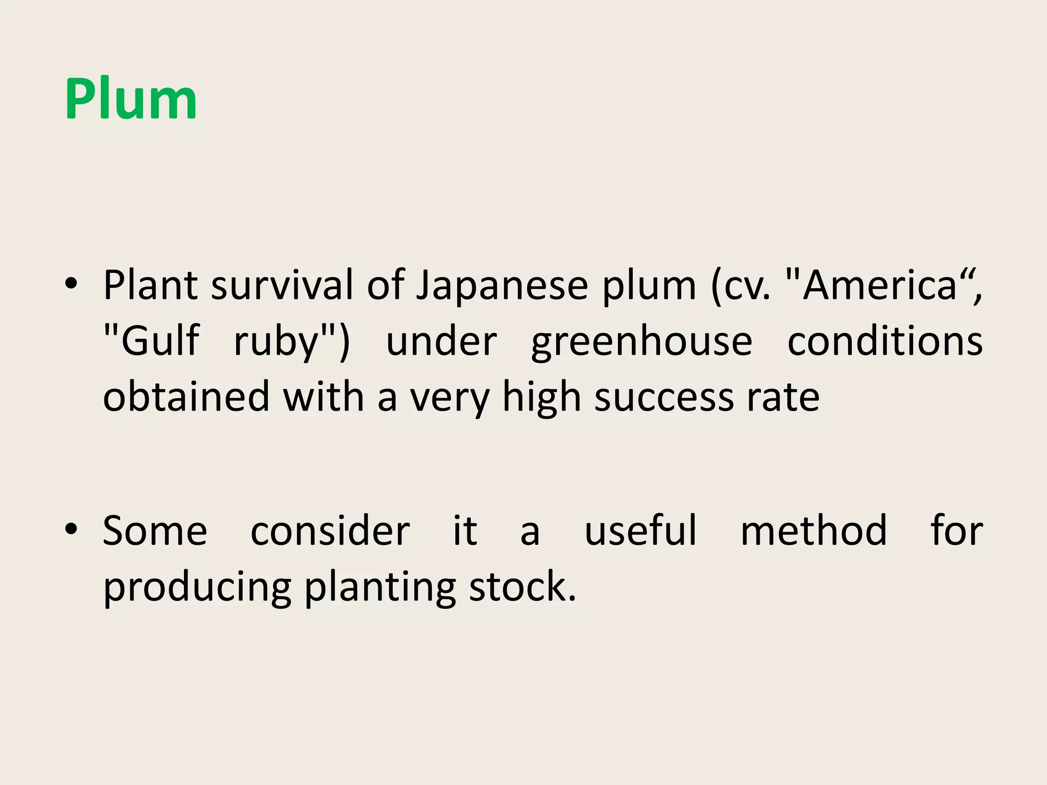 Plum
• Plant survival of Japanese plum (cv. "America“,
"Gulf ruby") under greenhouse conditions
obtained with a very high success rate
• Some consider it a useful method for
producing planting stock.
 