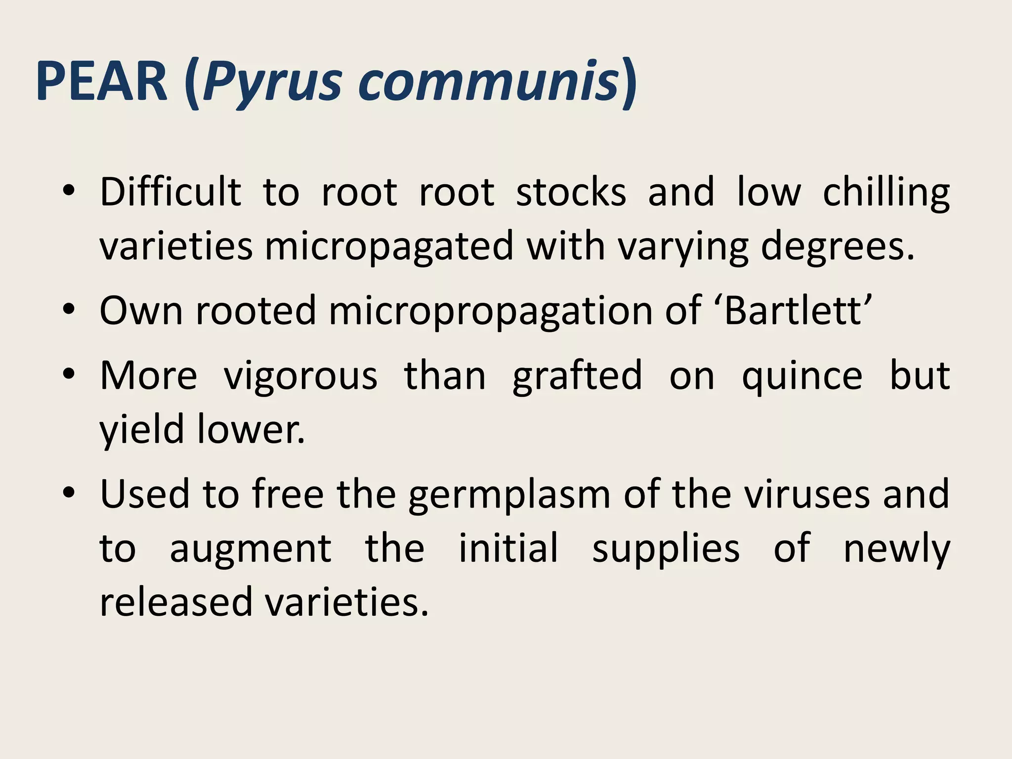 PEAR (Pyrus communis)
• Difficult to root root stocks and low chilling
varieties micropagated with varying degrees.
• Own rooted micropropagation of ‘Bartlett’
• More vigorous than grafted on quince but
yield lower.
• Used to free the germplasm of the viruses and
to augment the initial supplies of newly
released varieties.
 