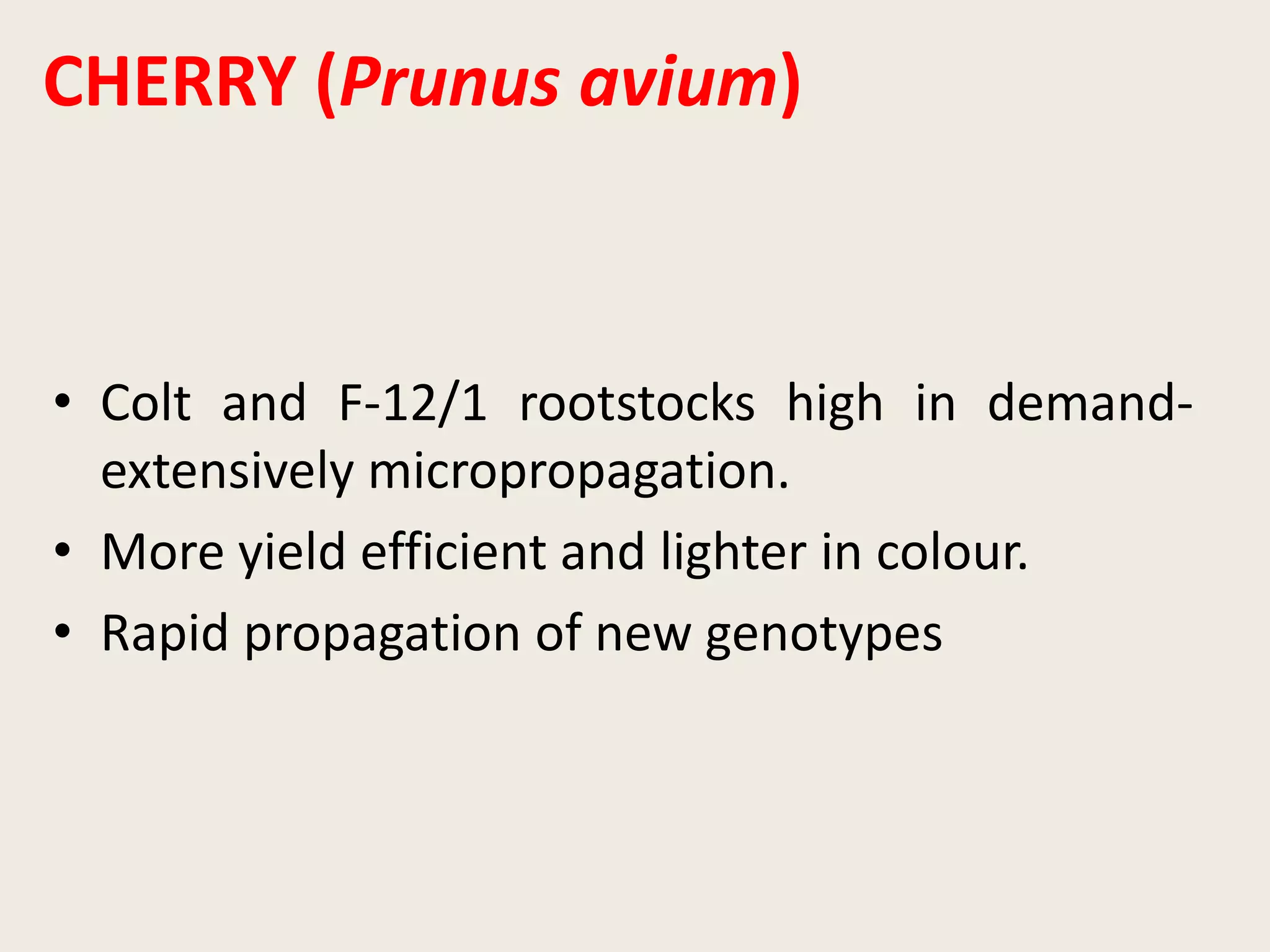 CHERRY (Prunus avium)
• Colt and F-12/1 rootstocks high in demand-
extensively micropropagation.
• More yield efficient and lighter in colour.
• Rapid propagation of new genotypes
 