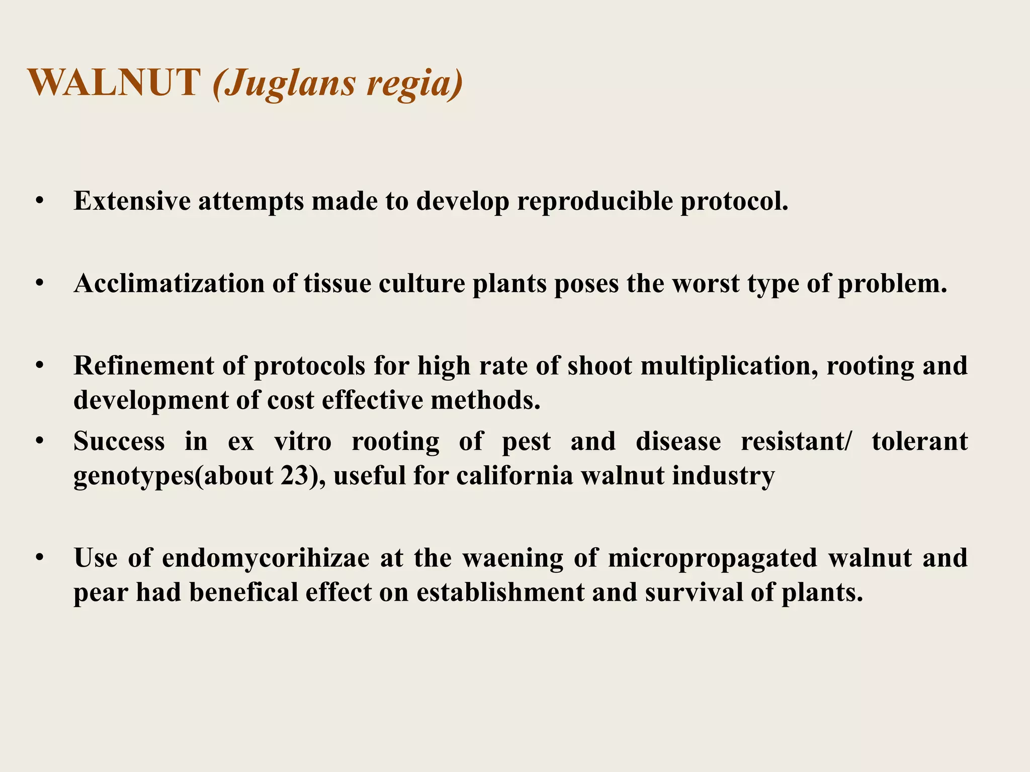 WALNUT (Juglans regia)
• Extensive attempts made to develop reproducible protocol.
• Acclimatization of tissue culture plants poses the worst type of problem.
• Refinement of protocols for high rate of shoot multiplication, rooting and
development of cost effective methods.
• Success in ex vitro rooting of pest and disease resistant/ tolerant
genotypes(about 23), useful for california walnut industry
• Use of endomycorihizae at the waening of micropropagated walnut and
pear had benefical effect on establishment and survival of plants.
 
