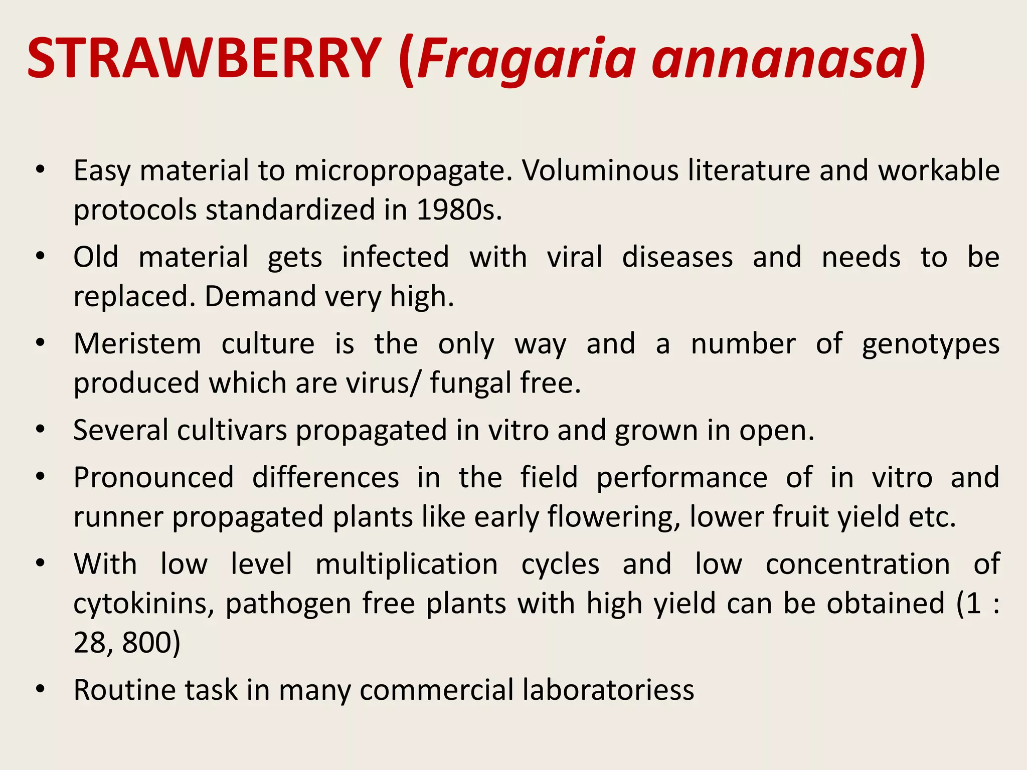 STRAWBERRY (Fragaria annanasa)
• Easy material to micropropagate. Voluminous literature and workable
protocols standardized in 1980s.
• Old material gets infected with viral diseases and needs to be
replaced. Demand very high.
• Meristem culture is the only way and a number of genotypes
produced which are virus/ fungal free.
• Several cultivars propagated in vitro and grown in open.
• Pronounced differences in the field performance of in vitro and
runner propagated plants like early flowering, lower fruit yield etc.
• With low level multiplication cycles and low concentration of
cytokinins, pathogen free plants with high yield can be obtained (1 :
28, 800)
• Routine task in many commercial laboratoriess
 