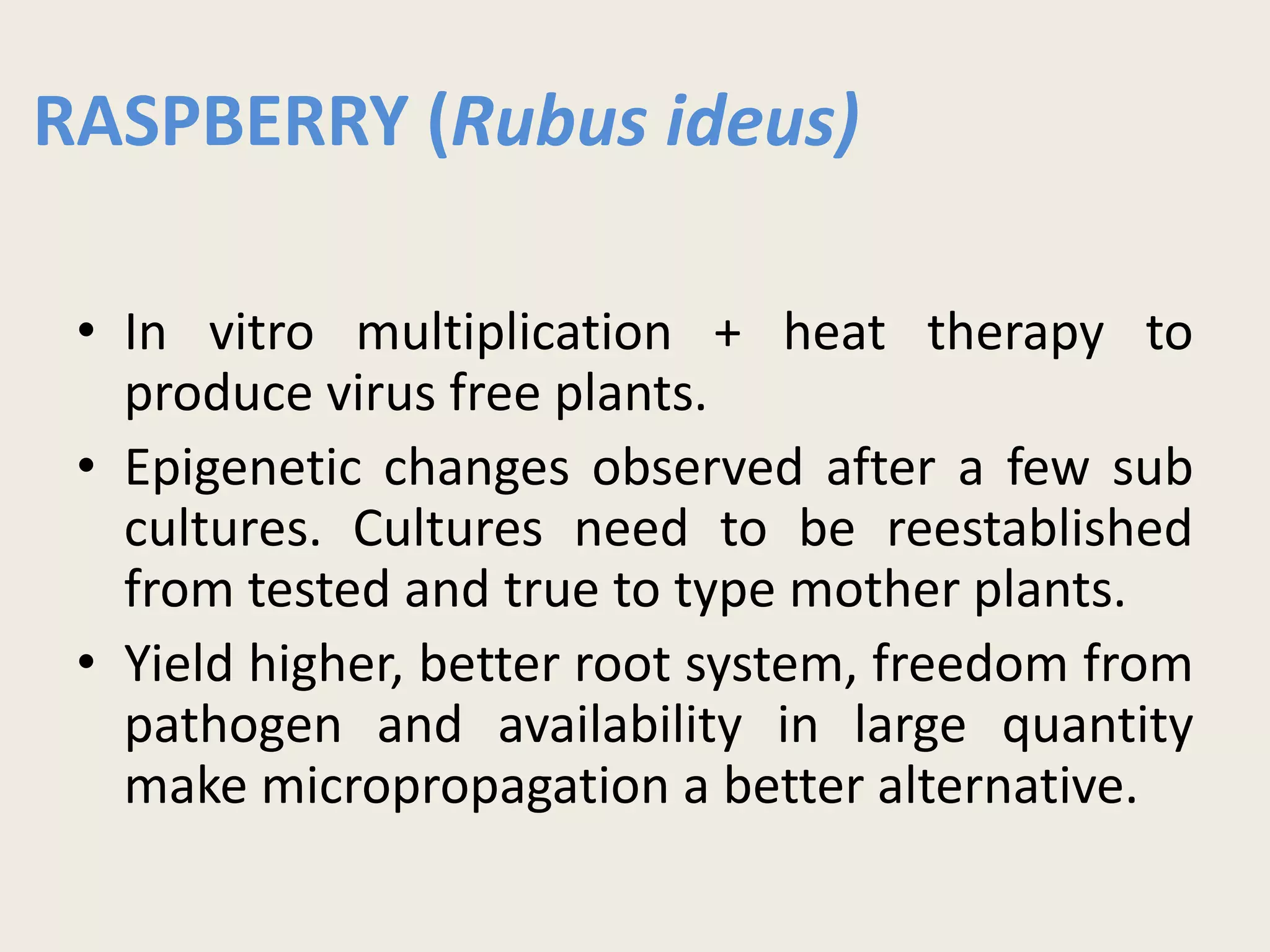 RASPBERRY (Rubus ideus)
• In vitro multiplication + heat therapy to
produce virus free plants.
• Epigenetic changes observed after a few sub
cultures. Cultures need to be reestablished
from tested and true to type mother plants.
• Yield higher, better root system, freedom from
pathogen and availability in large quantity
make micropropagation a better alternative.
 