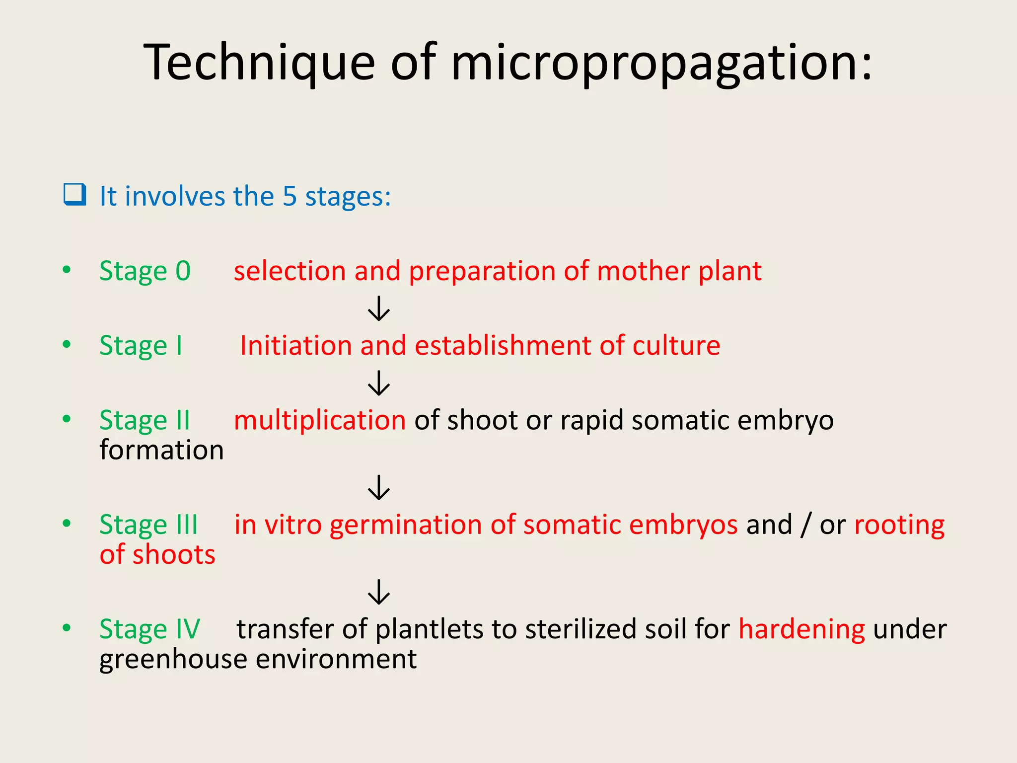 Technique of micropropagation:
 It involves the 5 stages:
• Stage 0 selection and preparation of mother plant
↓
• Stage I Initiation and establishment of culture
↓
• Stage II multiplication of shoot or rapid somatic embryo
formation
↓
• Stage III in vitro germination of somatic embryos and / or rooting
of shoots
↓
• Stage IV transfer of plantlets to sterilized soil for hardening under
greenhouse environment
 