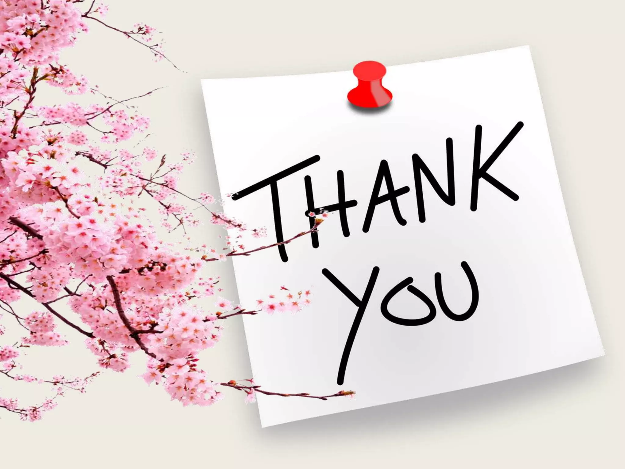 Micropropagation and commercial exploitation in horticulture crops