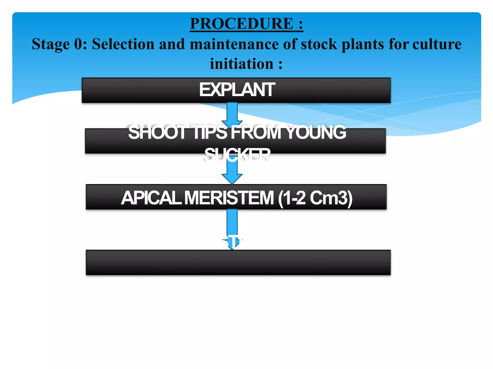 PROCEDURE :
Stage 0: Selection and maintenance of stock plants for culture
initiation :
EXPLANT
SHOOTTIPSFROMYOUNG
SUCKER
APICALMERISTEM(1-2 Cm3)
SURFACESTERILIZATION
 