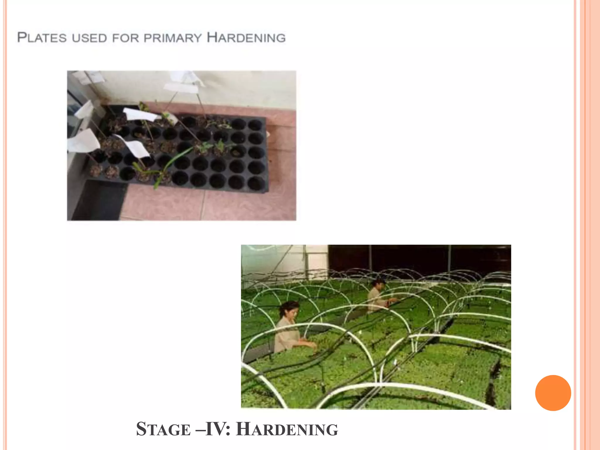 STAGE –IV: HARDENING
 