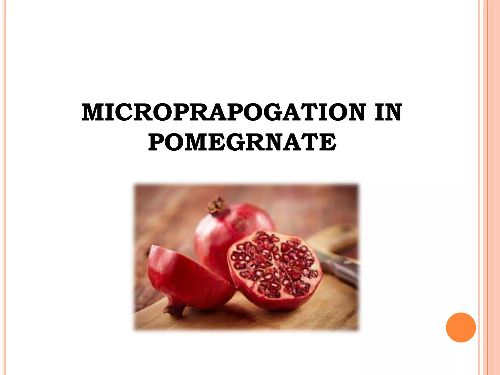 MICROPRAPOGATION IN
POMEGRNATE
 