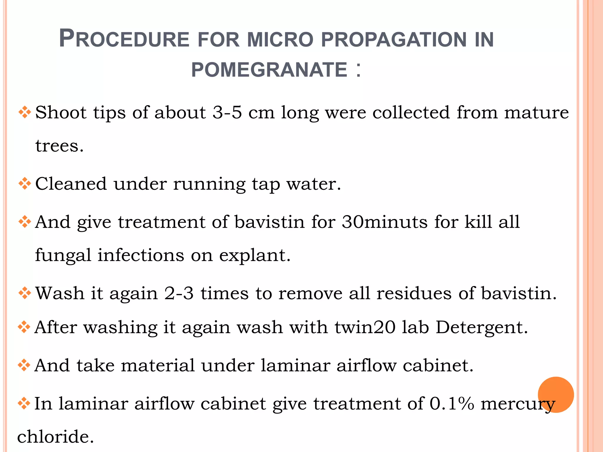 PROCEDURE FOR MICRO PROPAGATION IN
POMEGRANATE :
Shoot tips of about 3-5 cm long were collected from mature
trees.
Cleaned under running tap water.
And give treatment of bavistin for 30minuts for kill all
fungal infections on explant.
Wash it again 2-3 times to remove all residues of bavistin.
After washing it again wash with twin20 lab Detergent.
And take material under laminar airflow cabinet.
In laminar airflow cabinet give treatment of 0.1% mercury
chloride.
 