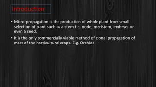 Introduction
• Micro-propagation is the production of whole plant from small
selection of plant such as a stem tip, node, meristem, embryo, or
even a seed.
• It is the only commercially viable method of clonal propagation of
most of the horticultural crops. E.g. Orchids
 