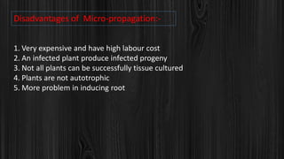 Disadvantages of Micro-propagation:-
1. Very expensive and have high labour cost
2. An infected plant produce infected progeny
3. Not all plants can be successfully tissue cultured
4. Plants are not autotrophic
5. More problem in inducing root
 